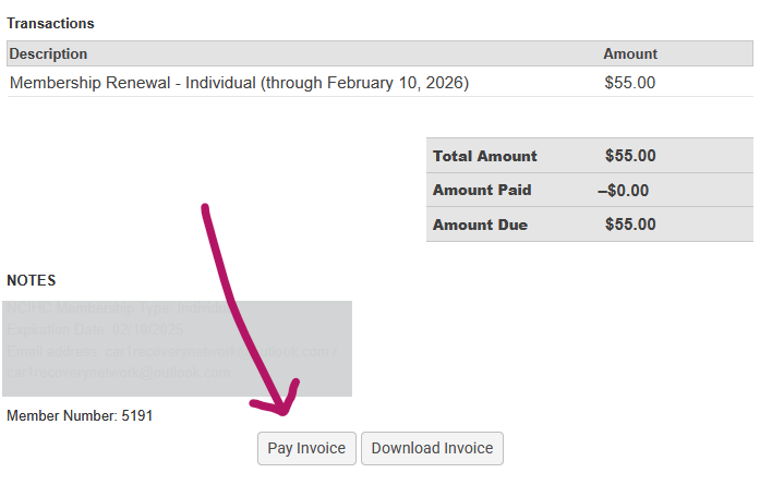 screenshot showing the Pay Invoice button